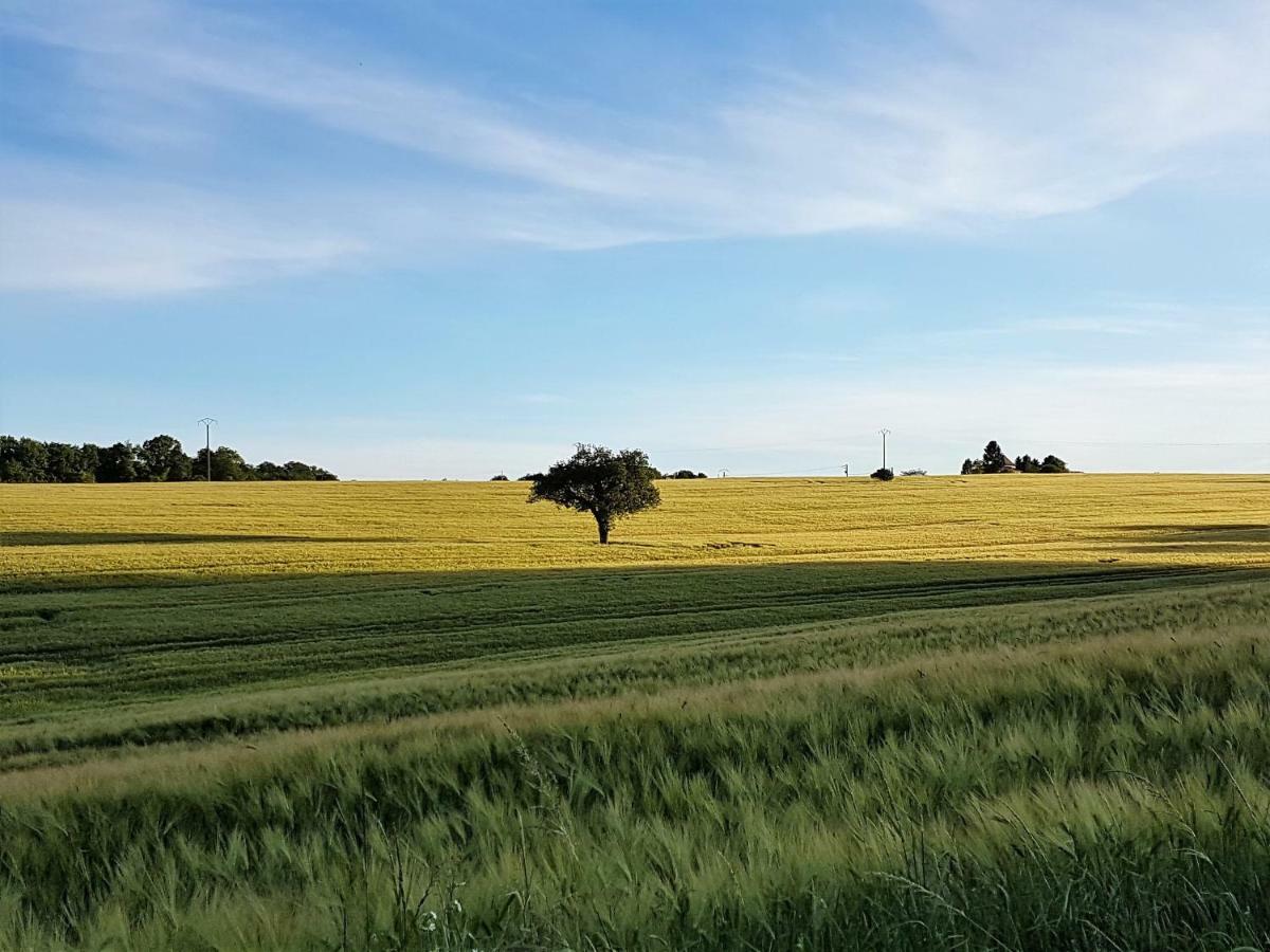Langlade Estate Villa Montboyer Dış mekan fotoğraf